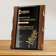 Medal Customization Honor Certificate Design Trophy Advanced Authorization Plate Appointment Letter 