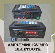 TERLARIS AMPLIFIER MINI 12V MP3 BLUETOOTH - AMPLI MINI USB 12V MP3
