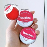 Sáp dưỡng môi hộp thiếc Vaseline Lip Therapy Petroleum Jelly 20g