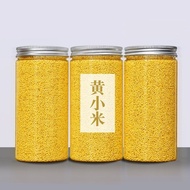 Hongfuxi Golden Miaohuang Millet Confinement Confinement Farm Oil Millet Confinement Chestnut Rice C