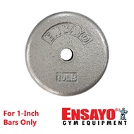 ENSAYO Standard PLATES 10Lbs 15Lbs 12.5Lbs Rubber Iron Barbells DB 1-Inch Plate Dumbell Bars Lbs 5Kg