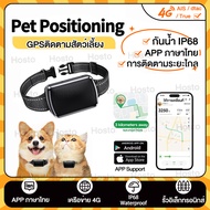 GPSติดตามสัตว์เลี้ยง ปลอกคอจีพีเอส 4G ปลอกคอแมวมี gps กันน้ำ IP68 GPS Pet Tracking Locator APP ภาษาไ