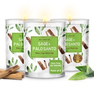 Set of 3 Long Lasting Pure Sage + Palo Santo Candles | 3.5 Oz Each - 42 Hour Burn | Made of Soy & Pa
