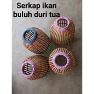 Serkap ikan buluh duri tua