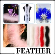 FEATHER BOA STRIP/ CRAFT COSTUME DRESSUP/ WEDDING PARTY/ FLOWER DECOR/ RENDA BULU LEMBUT BERWARNA/ L