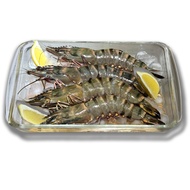 Catch Seafood Wild Premium Giant Tiger Prawn