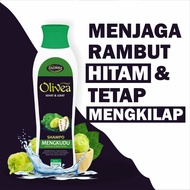 Promo Shampo Mengkudu Penghitam Rambut Olivea Shampo Herbal Rambut Hitam Mengkilat