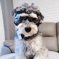 Dog Goggles Bichon Teddy French Fighting Influencer Pet Windproof Police Dog Glasses Edge Shepherd C