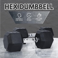 Rubber Hex Dumbbell 5lbs–50lbs | Hexagonal Dumbbells with Anti-Rust Metal Handle