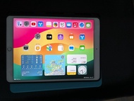 iPad  pro 10.5” 256Gb