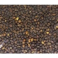 Benih Kangkung Gred AAA/ Water Spinach Seed