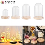 MIOSHOP Glass cloche Terrarium Tabletop Plants Glass Vase Terrarium Transparent Bottle Flower Storage box