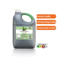 EveryDay Wheat Grass Juice Concentrate 浓缩小麦草 汁 4L