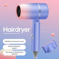 Mini Hair Blower Dryer Foldable Travel Blower Portable Small Home Hair Blower For Pet Dog Blower