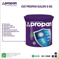 CAT PROPAN GALON 5 KG