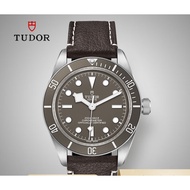 Tudor (TUDOR) Watch Male Biwan Series Automatic Mechanical Swiss Wrist Watch 39mm Belt Taupe Disc 39