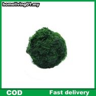 ho 3-4cm Marimo Moss Balls Live Aquarium Plant Algae Fish Shrimp Tank Ornament Simulation Green Alga