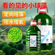 Aquarium chlorella algae concentrated algae compound algae fertilizer water culture algae oxygenated