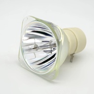 High quality 5J. J6D05.001 is suitable for replacing bare lights with BenQ MS502/MS503/MS502P/MX503/
