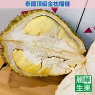 【🇹🇭金枕頭榴槤💛】