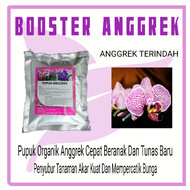 Pupuk Anggrek Cepat Berbunga Organik Untuk Anggrek Raja Bunga Anggrek Perangsang Bunga Anggrek Bulan