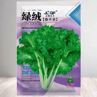 So Delicious Green Velvet Vegetable Seeds Spring Not Old Vegetable Seeds Flower Leaf Moss Vegetable 
