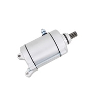 Motorcycle Engine Electric Starter Motor for 200cc 250cc Air-Cooled Dirt Bike Go Carts ATV Buggy TAO