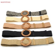 (warmtree) Summer Women Elastic Belt Round Bule Vintage Boho Straw Woven Belt Dress Belt