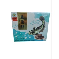 胶原蛋白海参精华生鱼精 ESSENCE OF FISH WITH SEA CUCUMBER & COLLAGEN /PATI IKAN HARUAN DENGAN GAMAT & KOLAGEN 1b