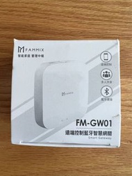 遠端控制藍牙智慧網關 FM-GW01