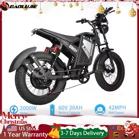 BAOLUJIE DM01 Motor Electric Bicycle 60V 30AH Battery Max Speed 42 MPH Electric Bike E-Bike Electric