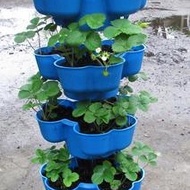 立體植栽花盆　蔬菜塔　適合都市農夫陽台有機種植　立體種菜箱