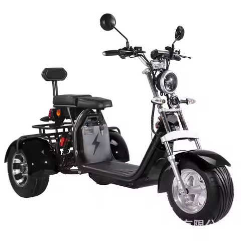 Factory 3 Wheel Electric Bike 1500W 60V Electric Tricycles for Adults