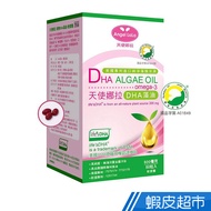 Angel Lala Angel Nora Plant Dha Algal Oil Softgel 50 Pcs / Box Shopee