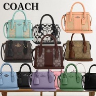 COACH Andrea mini Carryall 迷你小廢包