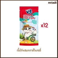 Felina Canino VIF เฟลินา คานิโน วิฟ อาหารเปียกแมว อาหารแมว ชนิดซอง ขนาด 75 กรัม 1โหล