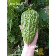 *Rare* Green Apple Bitter Gourd seeds - 3 seeds *Pot Friendly* Green Apple Bitter Gourd Seeds - Mang