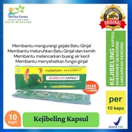 Kejibeling 1 Strip isi 10 Kapsul, Keji Beling Ghensen Seahorse