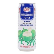 Ice Cool Young Coconut Juice 500ml