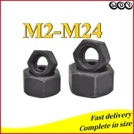 12 Grade Hex Nut Black Hex Nut High Strength Nut M2/M2.5-M24 (AZY-DM)