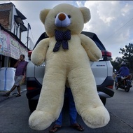 boneka teddy bear jumbo 2 Meter super besar doll