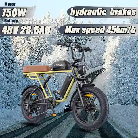 ENGWE M1 Electric Bike 750W Motor 48V28.6Ah Lithium Battery Ebike Dual Suspension 20* 4.0Inch Fat Ty