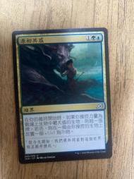 魔法部屋MTG單卡售IKO 伊克黎  原初共感 Primal Empathy  【繁體中文NM】