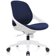 Modern Mesh Ergonomic Office Chair ZONE