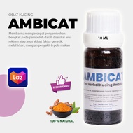 AMBICAT Obat Kucing Ambeien Wasir Berbahan Herbal
