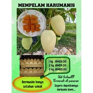 Buah Mempelam Harumanis