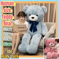 (COD) Ready Stock 160/180cm Teddy bear human size teddy bear for girls teddy bear stuffed toy teddy 