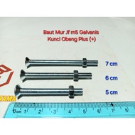 10 pieces of Jf m5*50 - 60 - 70 (5 cm to 7 cm) Galvanized Plus Screwdriver Wrench(+)