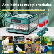 【Local delivery】Fully Automatic Incubator 10/15/30 Eggs Smart Incubator Small Home Incubator Parrot Bird Egg Chick Rutin Chicken Incubator Dual Power