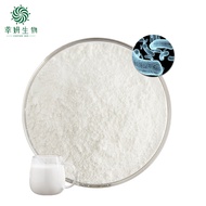 Bifidobacterium breve probiotics 10 billion CFU intestinal health conditioning stomach protection pr